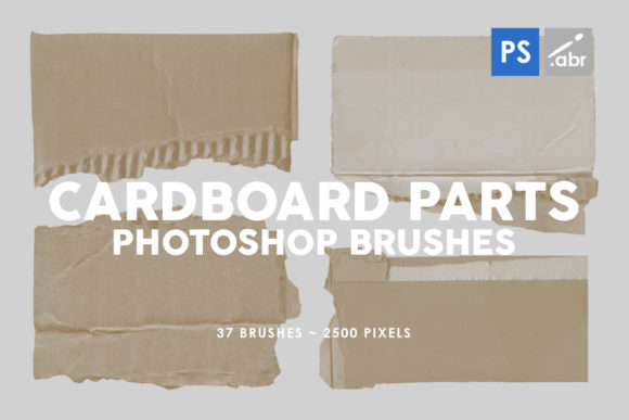 15 Canvas Photoshop Stamp Brushes for Creative Projects