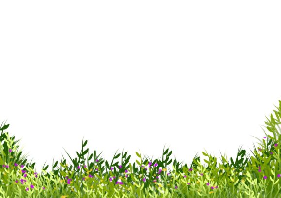 Vegetable Border Illustration Set